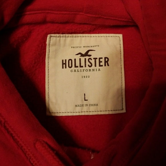 Hollister Logo  Hoodie - Picture 3 of 3